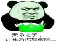 上海世如虹贸易有限公司