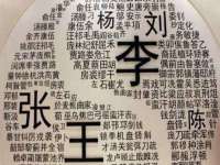 上海世如虹贸易有限公司