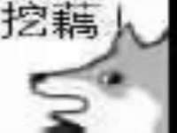 上海世如虹贸易有限公司
