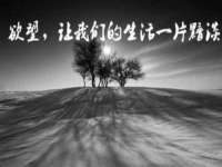 上海世如虹贸易有限公司