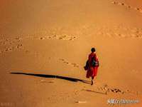 上海世如虹贸易有限公司