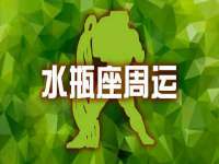 上海世如虹贸易有限公司