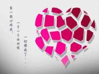 上海世如虹贸易有限公司