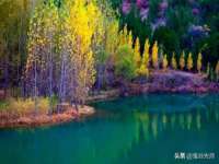 上海世如虹贸易有限公司