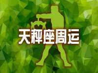 上海世如虹贸易有限公司