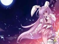 上海世如虹贸易有限公司