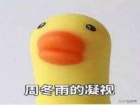 上海世如虹贸易有限公司