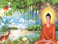 上海世如虹贸易有限公司