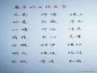上海世如虹贸易有限公司