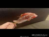 上海世如虹贸易有限公司