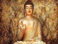 上海世如虹贸易有限公司
